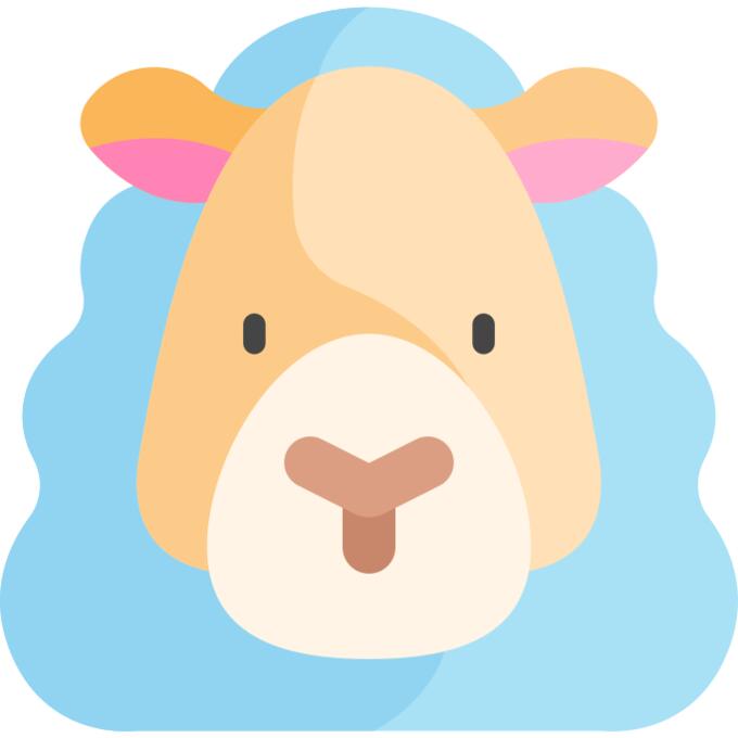 Sheep