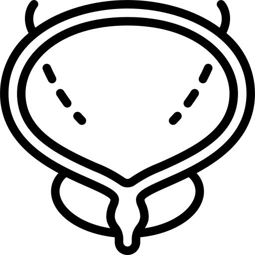 膀胱