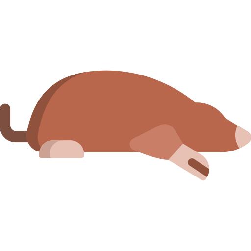 Mole