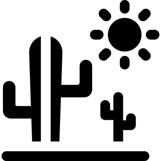 仙人掌