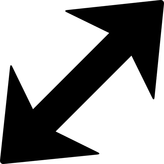 Double black arrow in diagonal