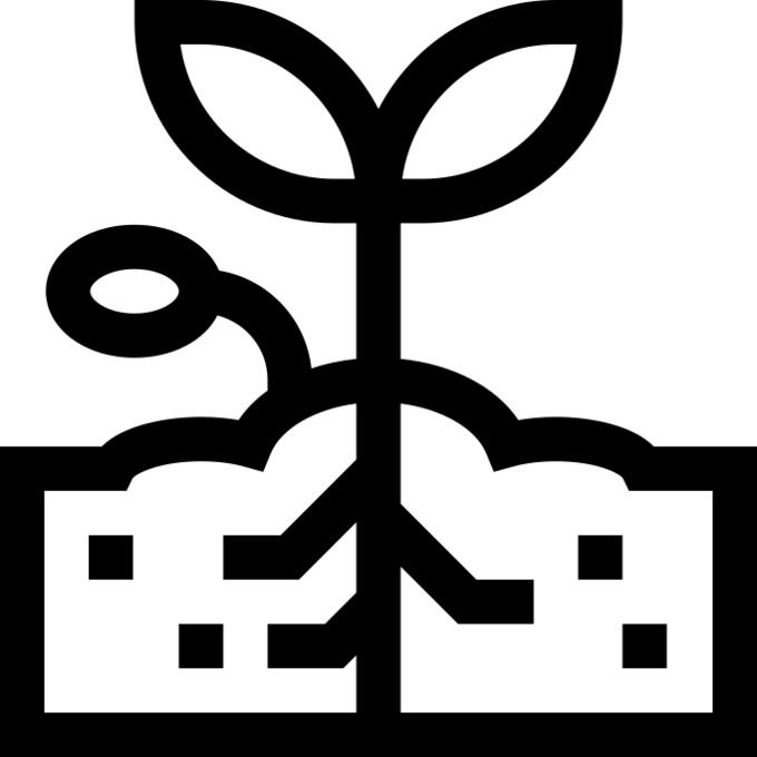 发芽