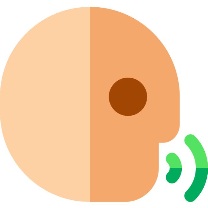 Voice