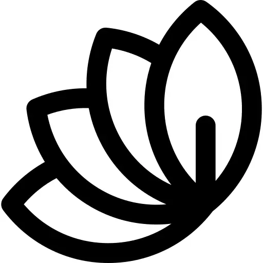 树叶