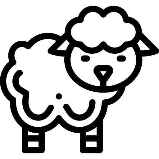Sheep