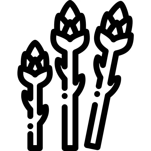 Asparagus