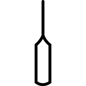 Cricket bat