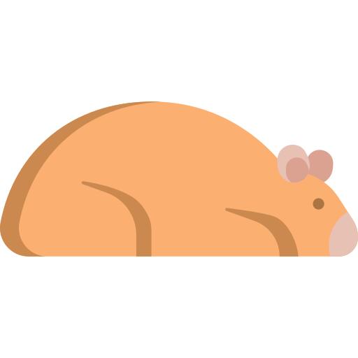仓鼠