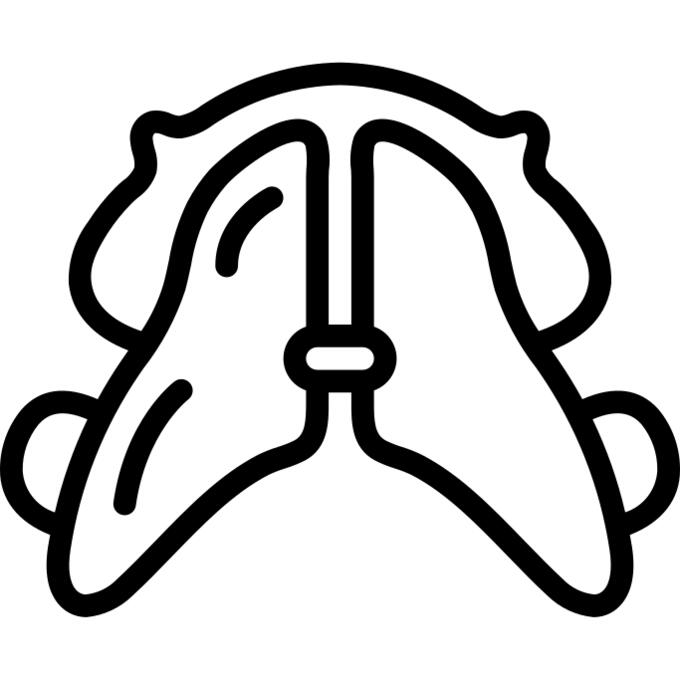背带