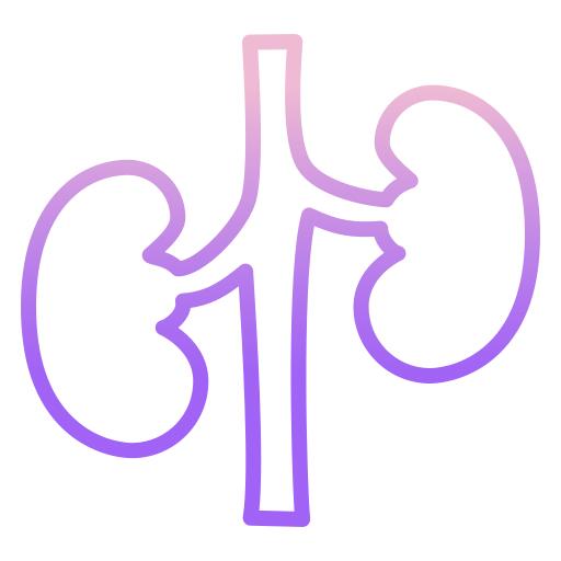 Kidney