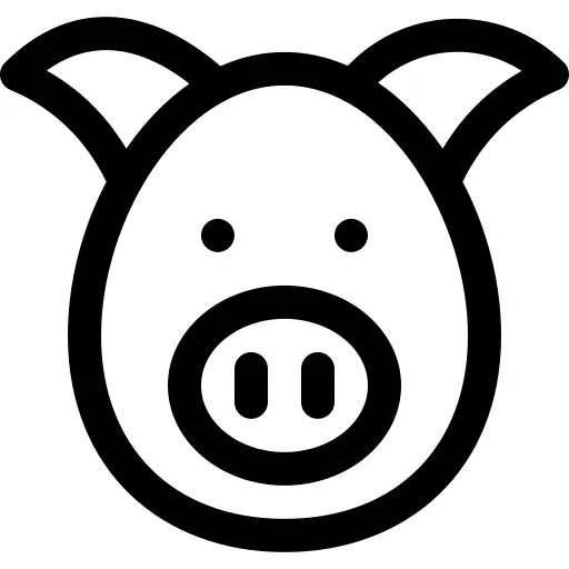 Pig