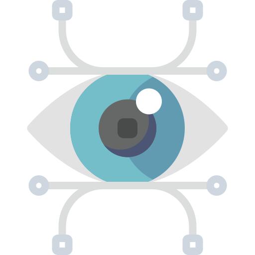 Vision