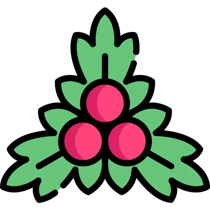 Mistletoe