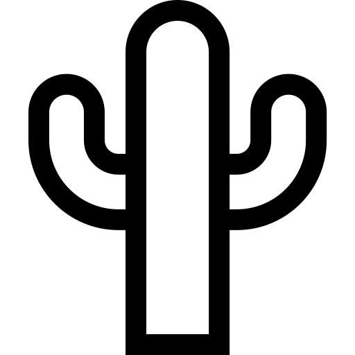 仙人掌