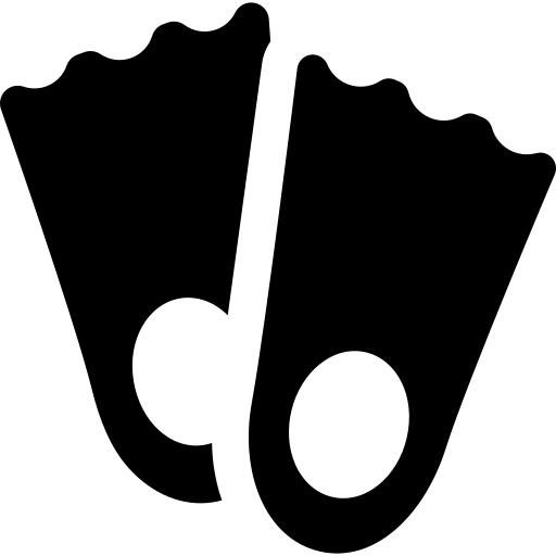Flippers