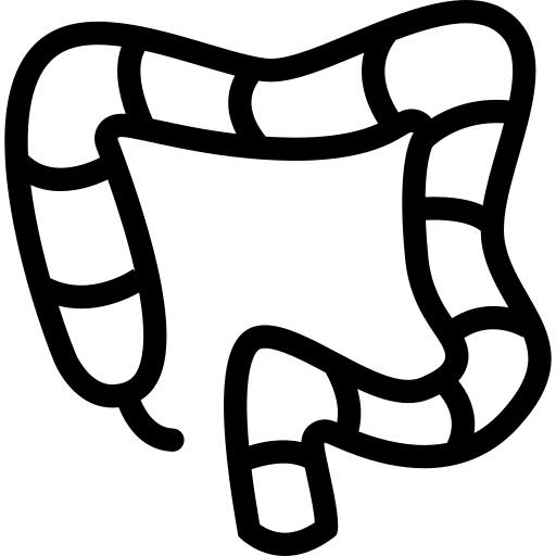 Colon