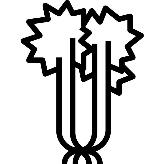 芹菜