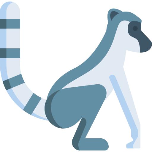 狐猴