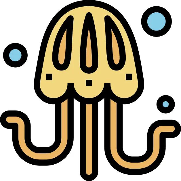 Jellyfish