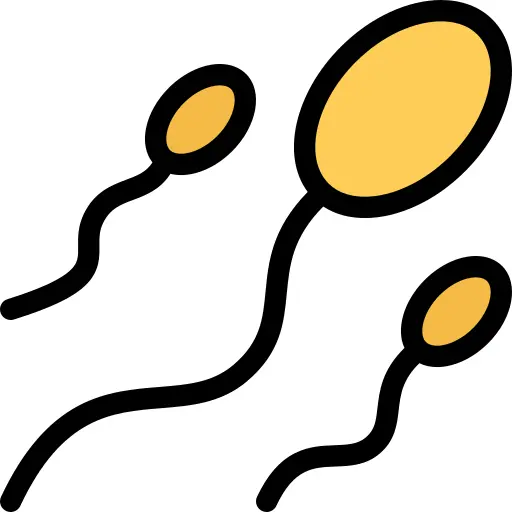 Sperm