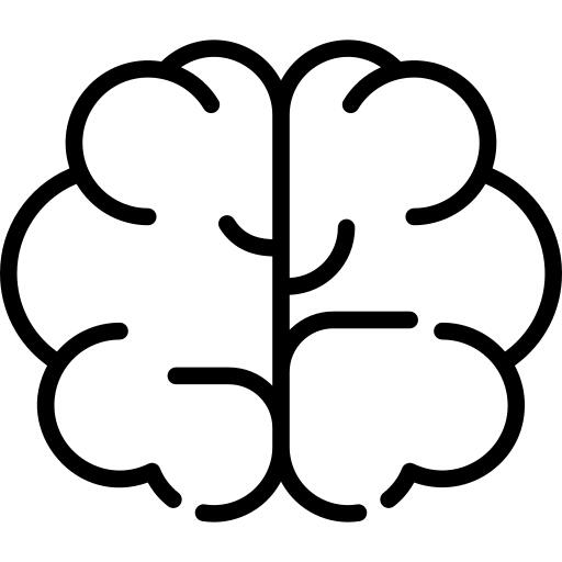 Brain