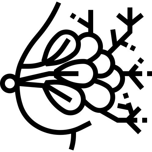 Mammary gland