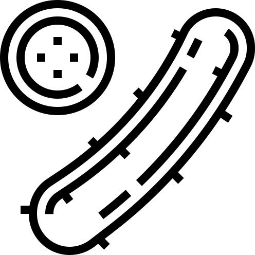 Cucumber