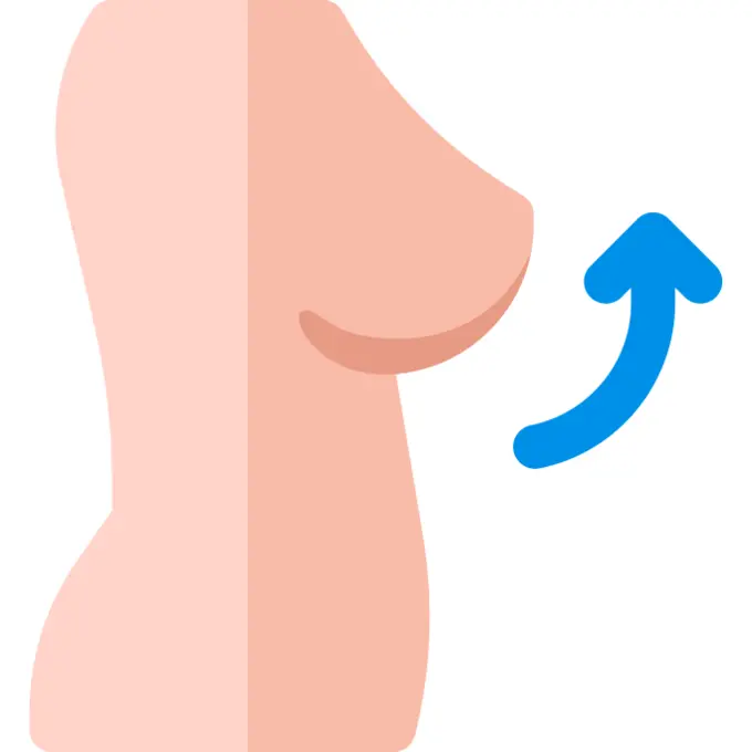 乳房