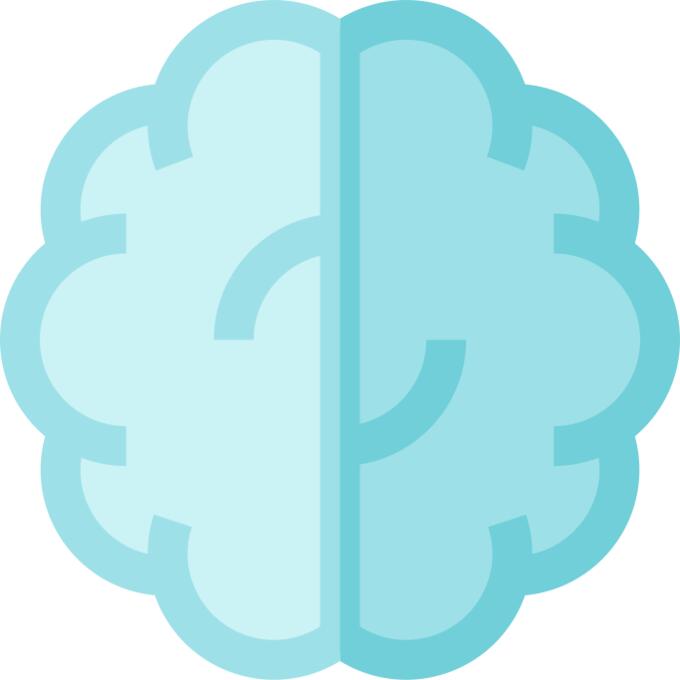 Brain