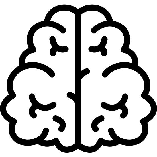 Brain