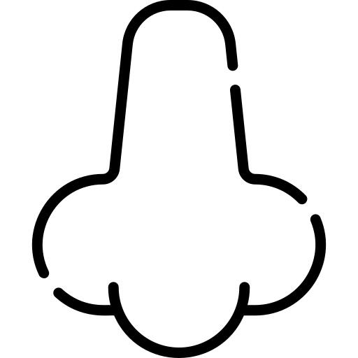 Nose