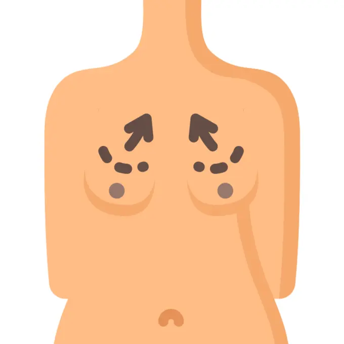 Anatomy