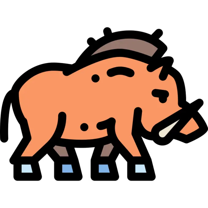 Boar