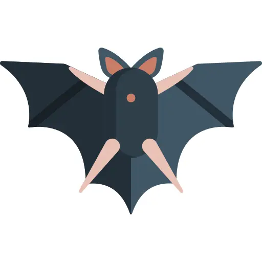 Bat
