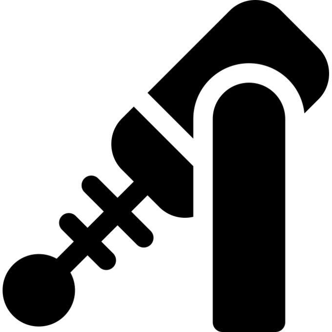Gun