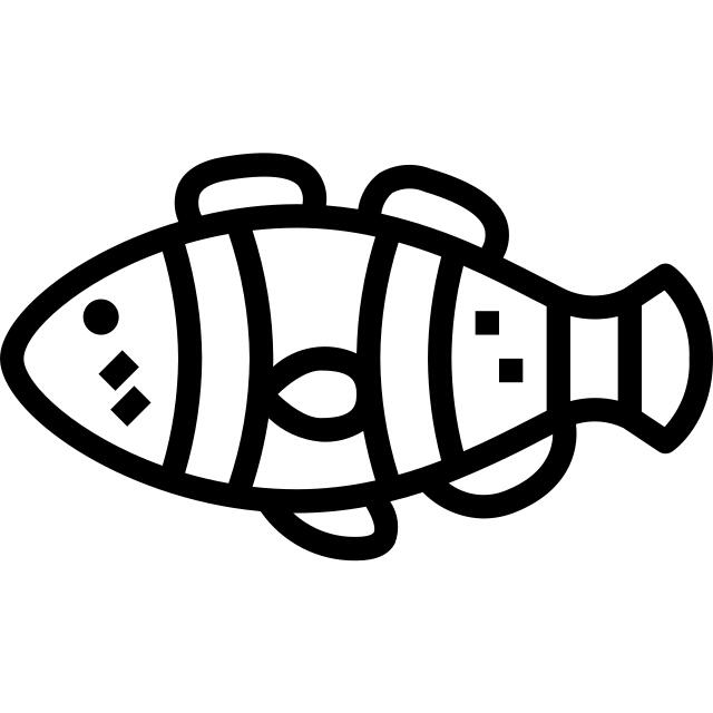 小丑鱼