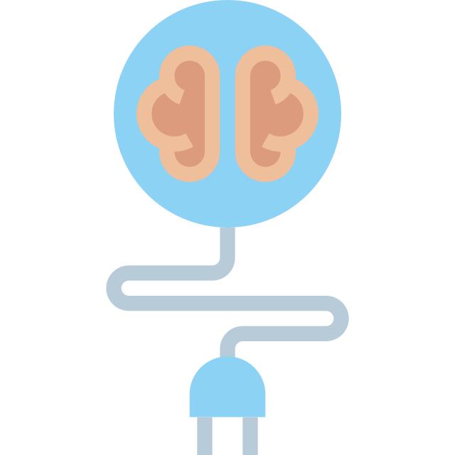 Brain