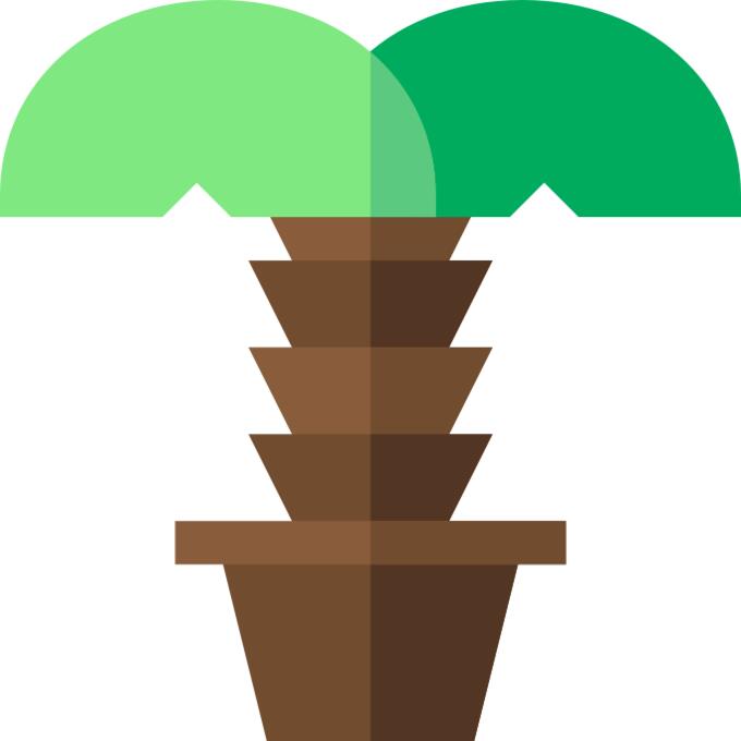 Palm tree