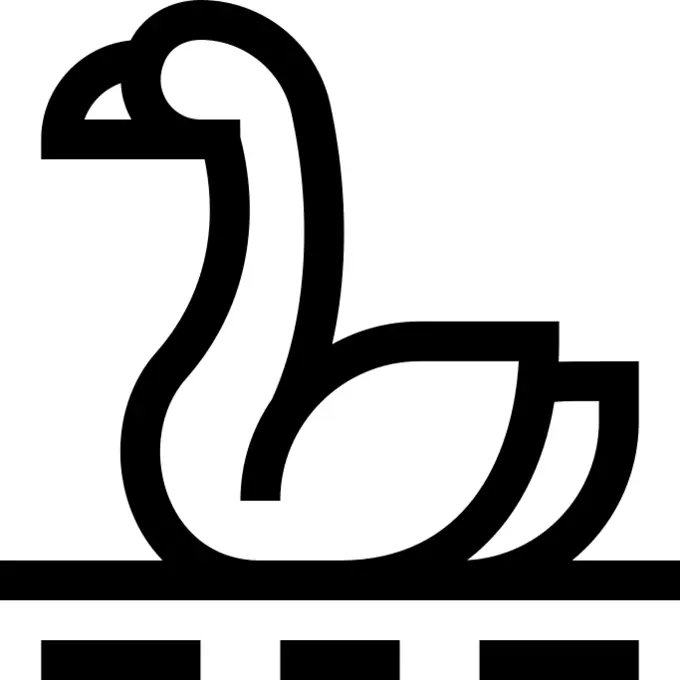 Swan