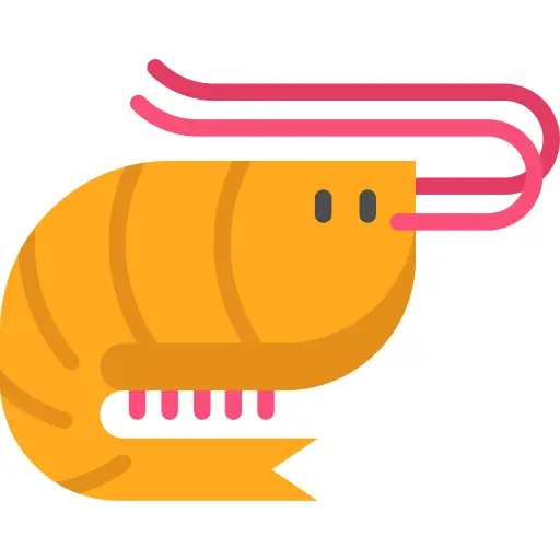 Shrimp