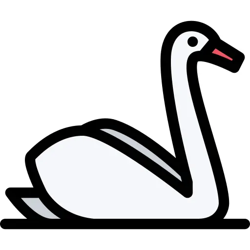 Swan