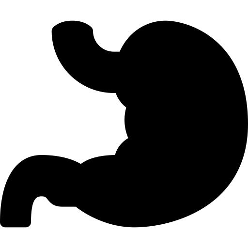 Stomach