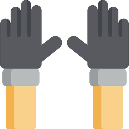 Gloves
