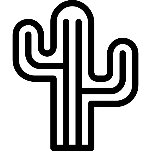 Cactus