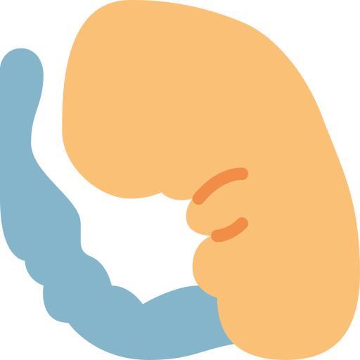Embryo