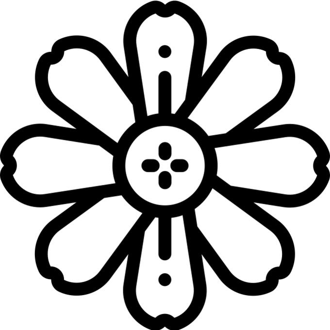Zinnia