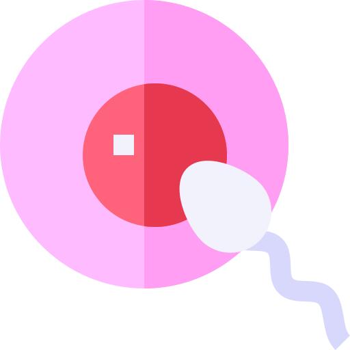 Fertilization