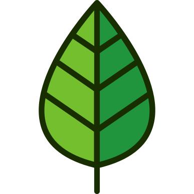 Leaf