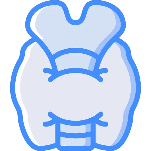 Thyroid gland