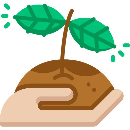 种子